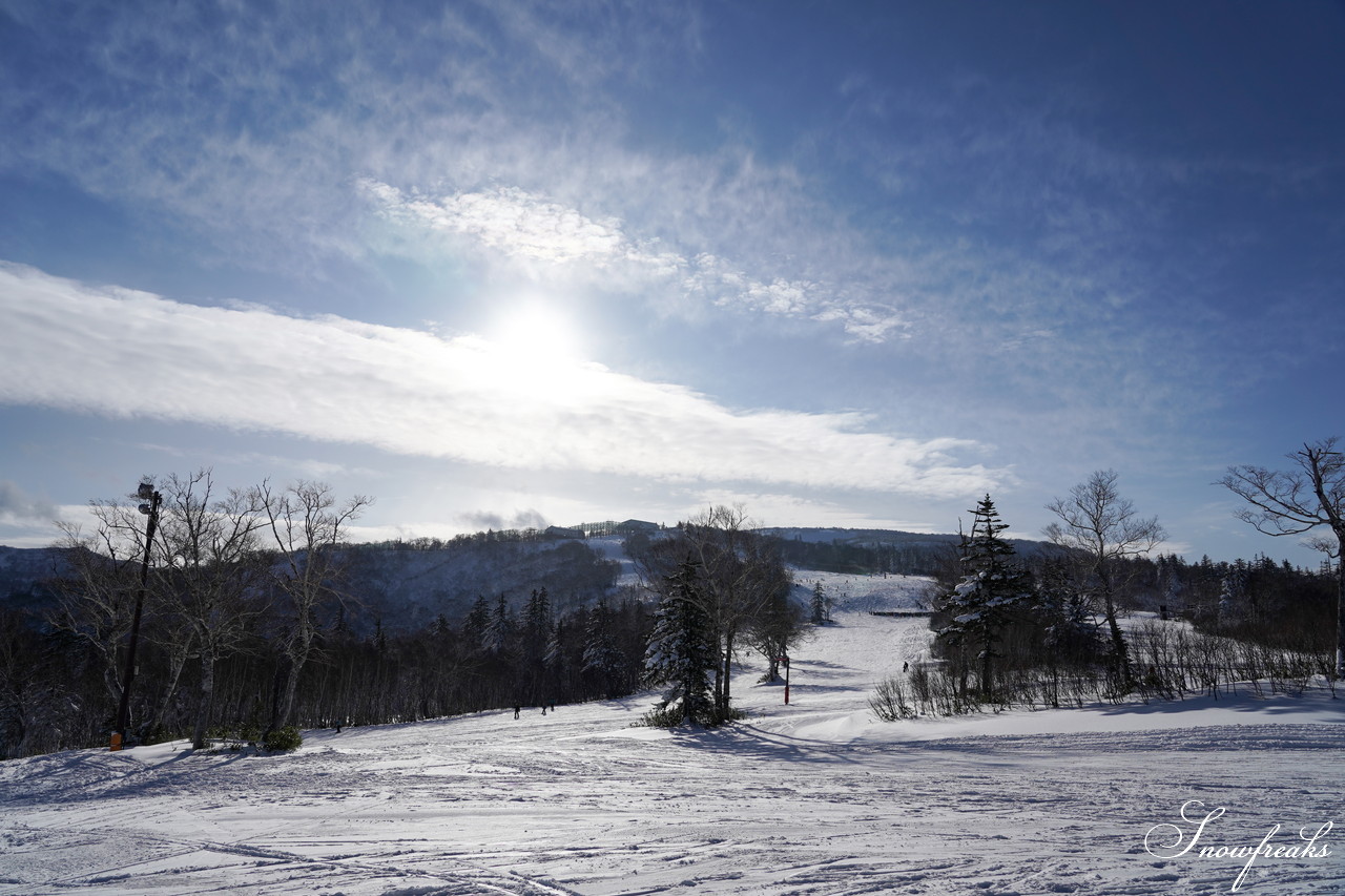 札幌国際スキー場 これぞ北海道。粉雪が降り積もったゲレンデはコンディション良好！そして、早くも全コース滑走可能です(*^^)v